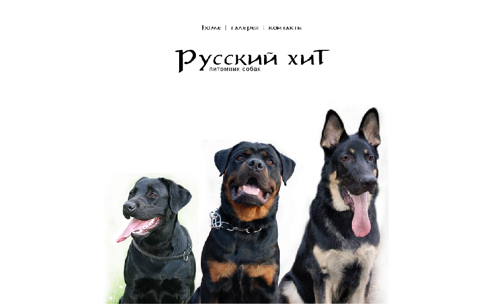 Русский Хит питомник собак, ротвейлеры, ВЕО, лабрадоры 
